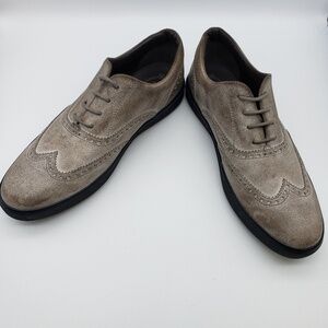 Tod's Taupe Suede Wingtip Derby Shoes